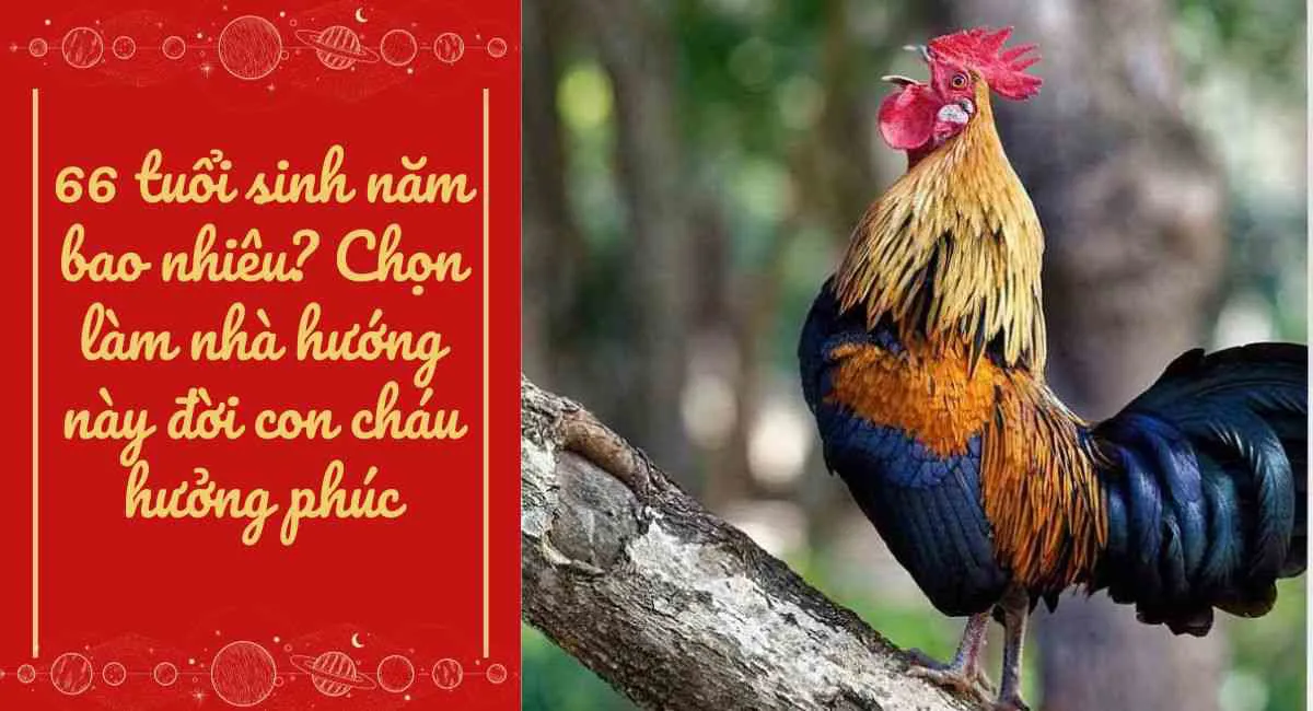 66 tuổi sinh năm bao nhiêu? Chọn làm nhà hướng này đời con cháu hưởng phúc