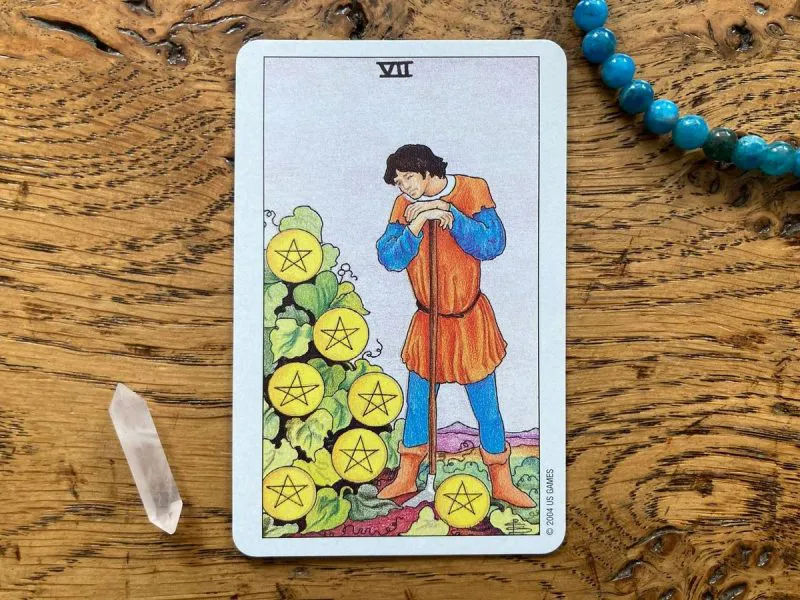 7 of pentacles trong tình yêu: Cố gắng để nhận thành quả hay chậm lại để suy nghĩ