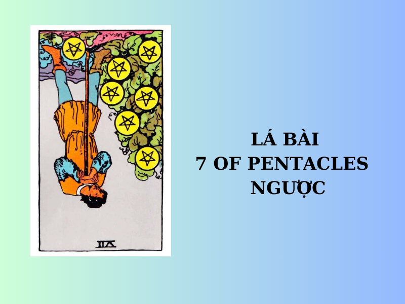 7 of pentacles trong tình yêu: Cố gắng để nhận thành quả hay chậm lại để suy nghĩ