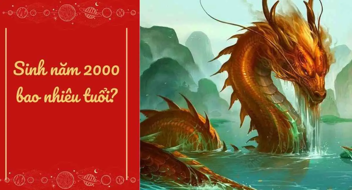 Canh Thìn 2000 Bao Nhiêu Tuổi Cung Gì, Hợp Màu Gì, Hợp Tuổi Nào?