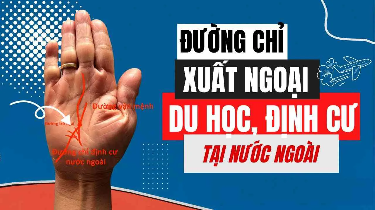 Chi tiết đường chỉ tay xuất ngoại: Dự báo vận mệnh số hưởng hay cả đời làm lụng