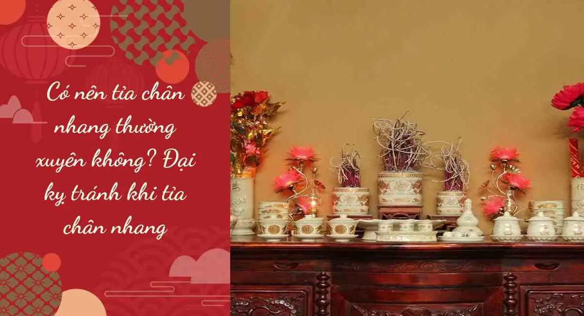 Có nên tỉa chân nhang thường xuyên không? Đại kỵ tránh khi tỉa chân nhang