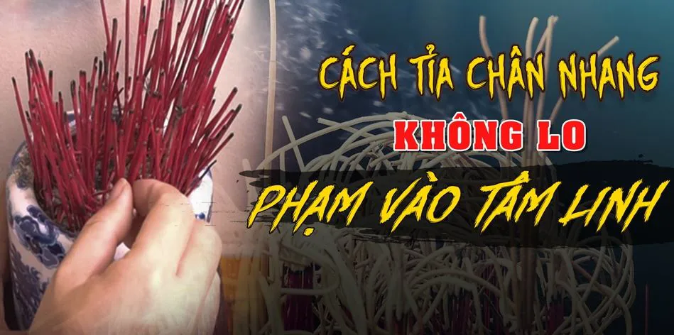 Có nên tỉa chân nhang thường xuyên không? Đại kỵ tránh khi tỉa chân nhang