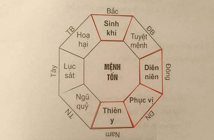 Cung Tốn tốt hay xấu? Bật mí cách xem tuổi vợ chồng lý tưởng nhất