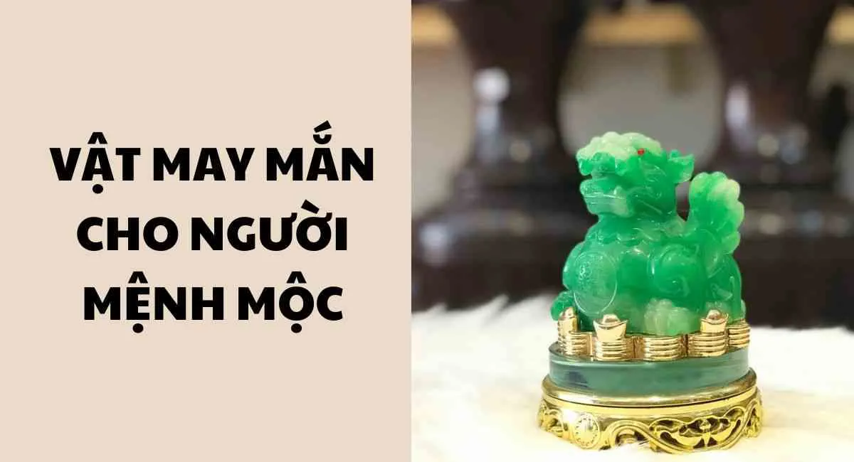 Điểm danh những vật may mắn cho người mệnh Mộc: Muốn xui cũng khó