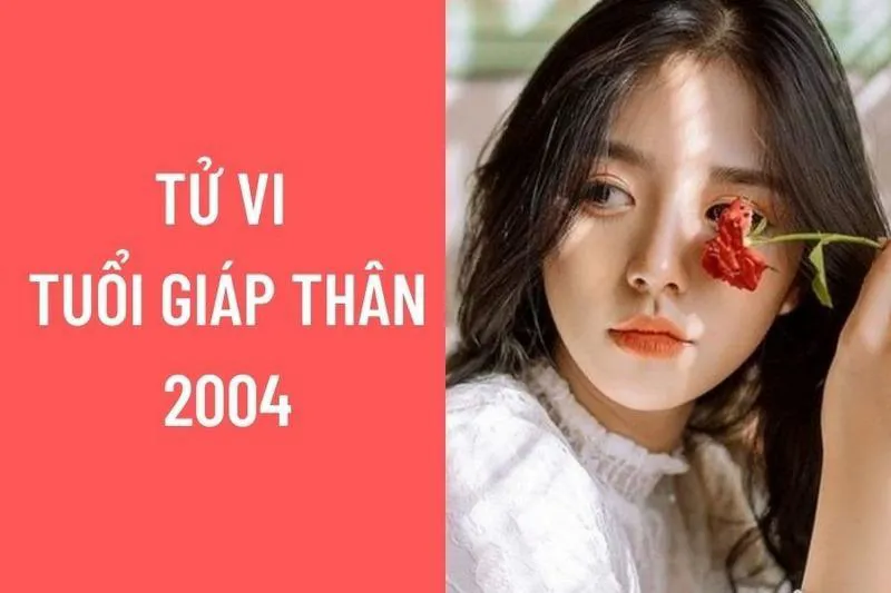 Giáp Thân 2004 Bao Nhiêu Tuổi Cung Gì, Hợp Màu Gì, Hợp Tuổi Nào?