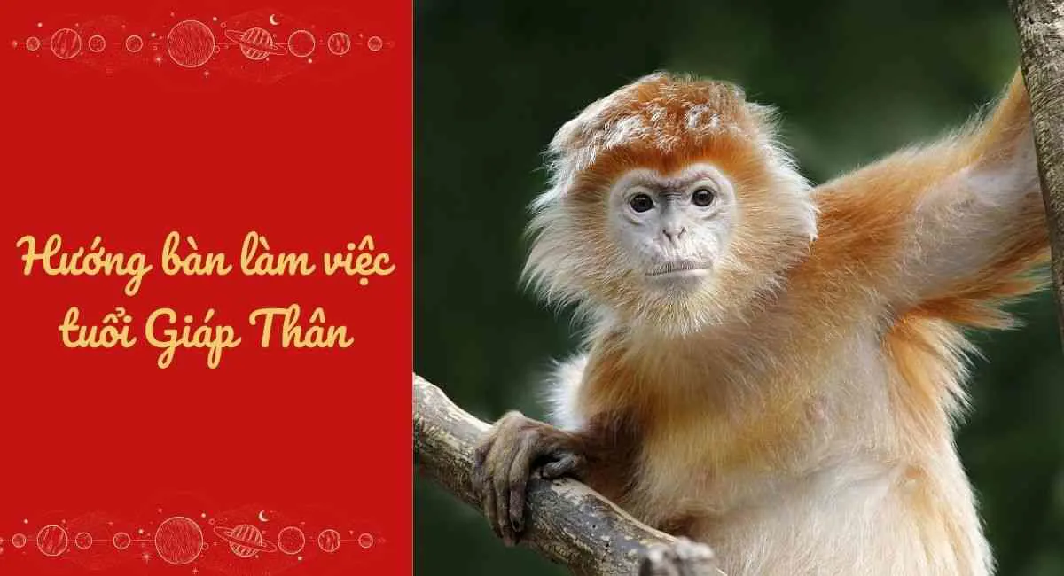 Gợi ý hướng bàn làm việc tuổi Giáp Thân 2004 mang lại vượng khí, dồi dào tài lộc