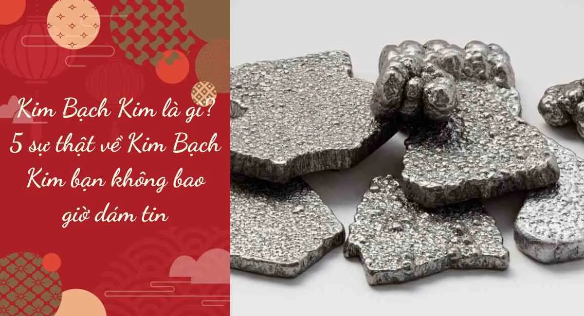 Kim Bạch Kim là gì? 5 sự thật về Kim Bạch Kim bạn không bao giờ dám tin