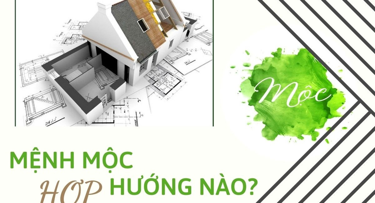 Mệnh Mộc hợp hướng nào? Bật mí hướng nhà mang lại thịnh vượng cho gia chủ