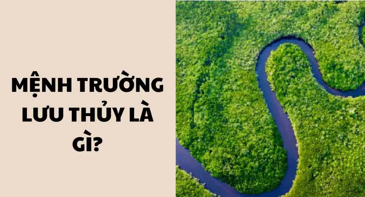 Mệnh Trường Lưu Thủy là gì? Kết hợp với 4 mệnh này làm ăn cực phất