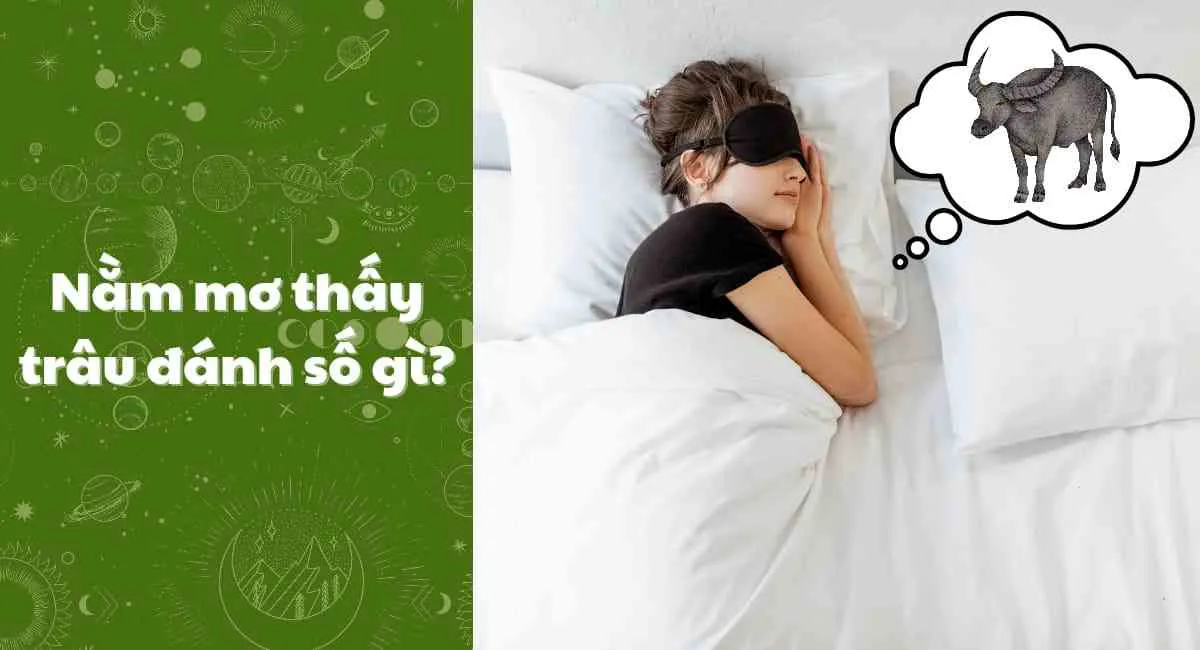 Nằm mơ thấy trâu đánh số gì? Ghi lại ngay những con số này để thử vận may