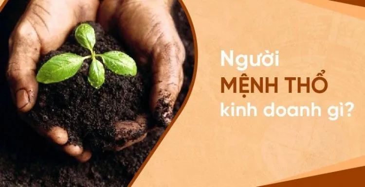 Người Mệnh Thổ hợp nghề gì? Chọn đúng nghề, sự nghiệp như cá gặp nước