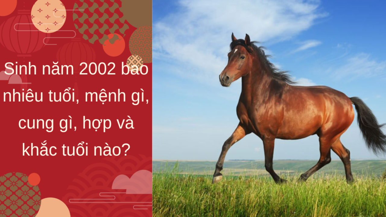 Nhâm Ngọ 2002 Mệnh gì? 2002 Bao Nhiêu Tuổi Cung Gì, Hợp Màu Gì, Hợp Tuổi Nào?