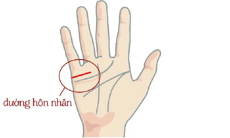 Nhận biết các đường chỉ tay hôn nhân: Viên mãn, hạnh phúc đến già nếu có đặc điểm này