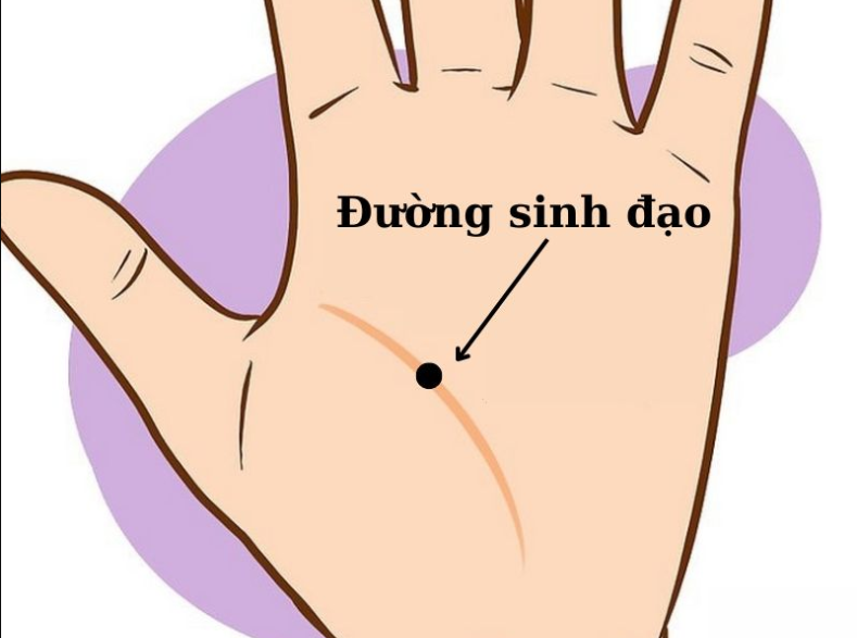 Nốt ruồi ở lòng bàn tay nam nữ ý nghĩa, đường tình duyên, giàu hay nghèo?