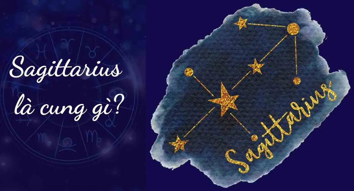 Sagittarius là cung gì? Giải mã chi tiết vận mệnh cuộc đời của một Sagittarius