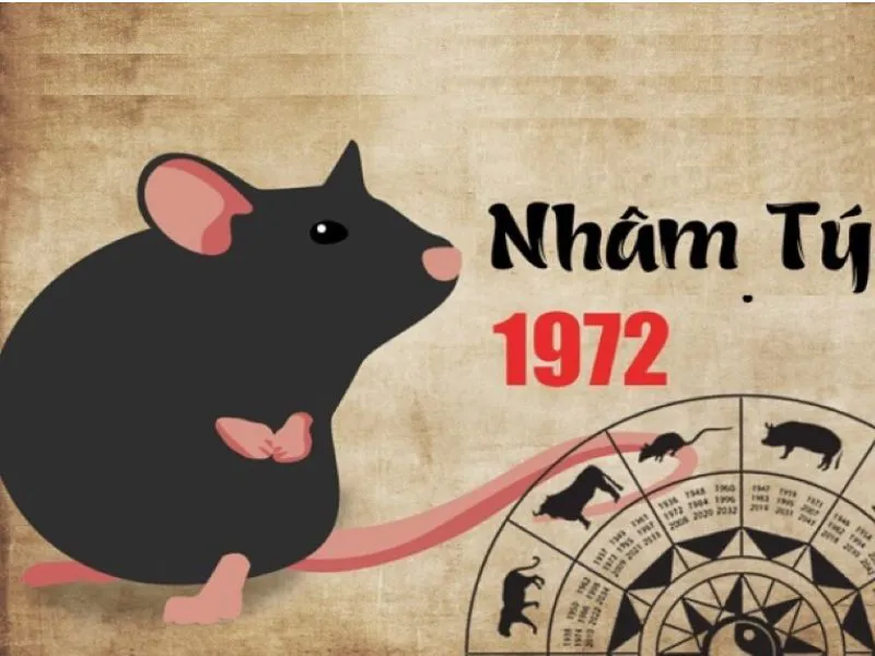 Sinh năm 1972 mệnh gì? Năm sau gặp tam tai liệu có yên ổn hay sóng gió