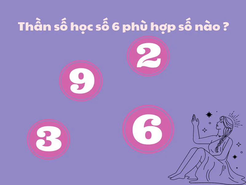 Thần số học số 6 là gì? Thần số học số 6 tình duyên và sự nghiệp như thế nào?