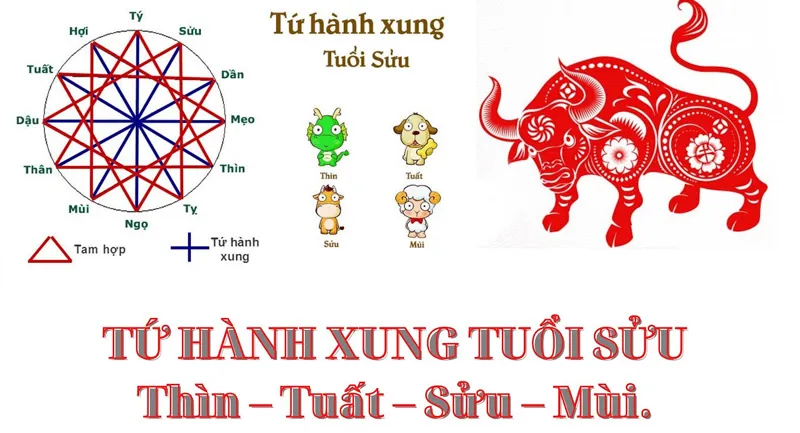 Tứ hành xung tuổi Sửu gồm những tuổi nào? Cách hóa giải không phải ai cũng biết