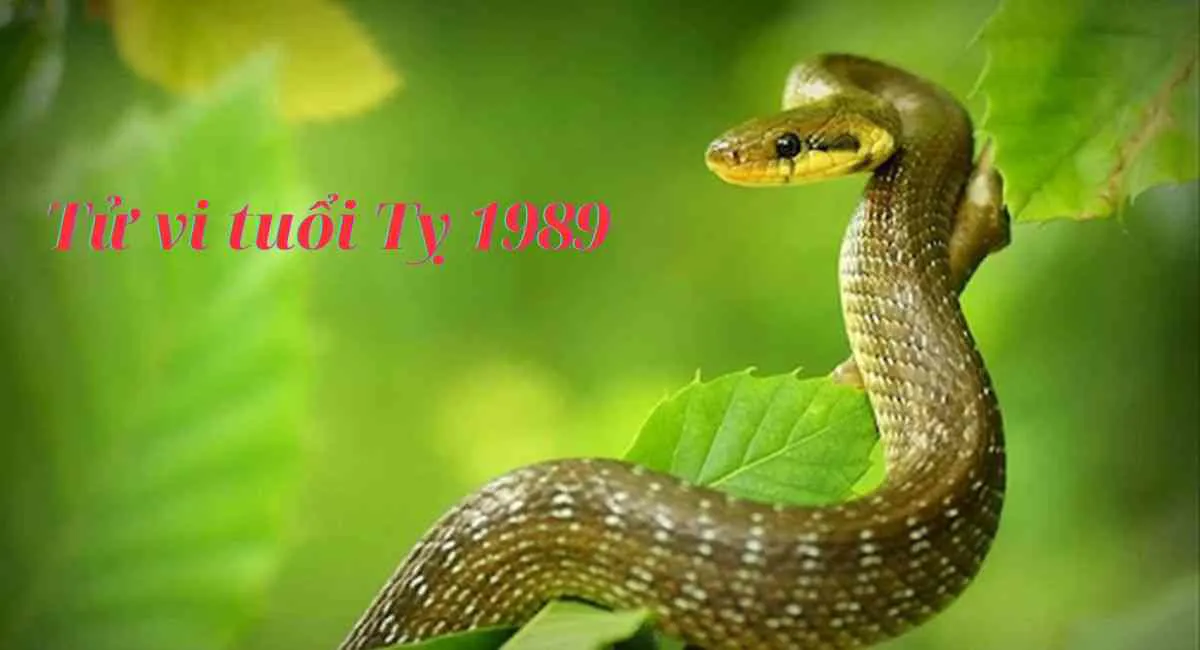 Tử vi tuổi Tỵ 1989: Bằng lòng với sự ổn định chớ thay đổi để tránh rủi ro