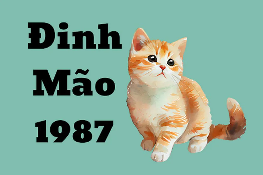 Tuổi Đinh Mão kết hôn năm nào hạnh phúc viên mãn, công thành danh toại?