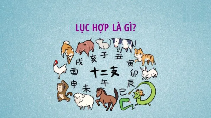 Tuổi Lục hợp là gì? Chọn tuổi lục hợp giúp may mắn, tài lộc kéo đến cản không kịp