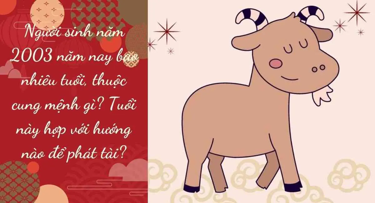 Tuổi Quý Mùi 2003 Năm Nay Bao Nhiêu Tuổi? Cung Gì, Hợp Màu Gì, Hợp Tuổi Nào?