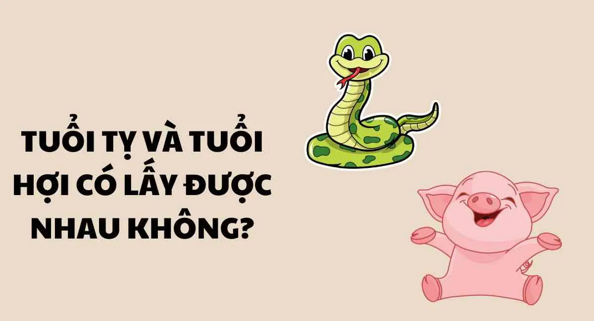 Tuổi Tỵ và tuổi Hợi có lấy nhau được không? Làm ngay việc này để tránh tứ hành xung