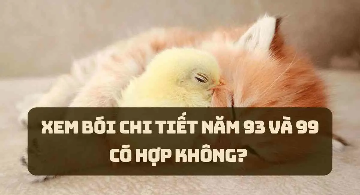 Xem bói chi tiết năm 93 và 99 có hợp không? Cách hóa giải xung khắc nghiệt duyên