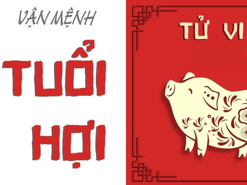 Xem tử vi tuổi Kỷ Hợi kết hôn năm nào thì hạnh phúc, sung sướng cả đời