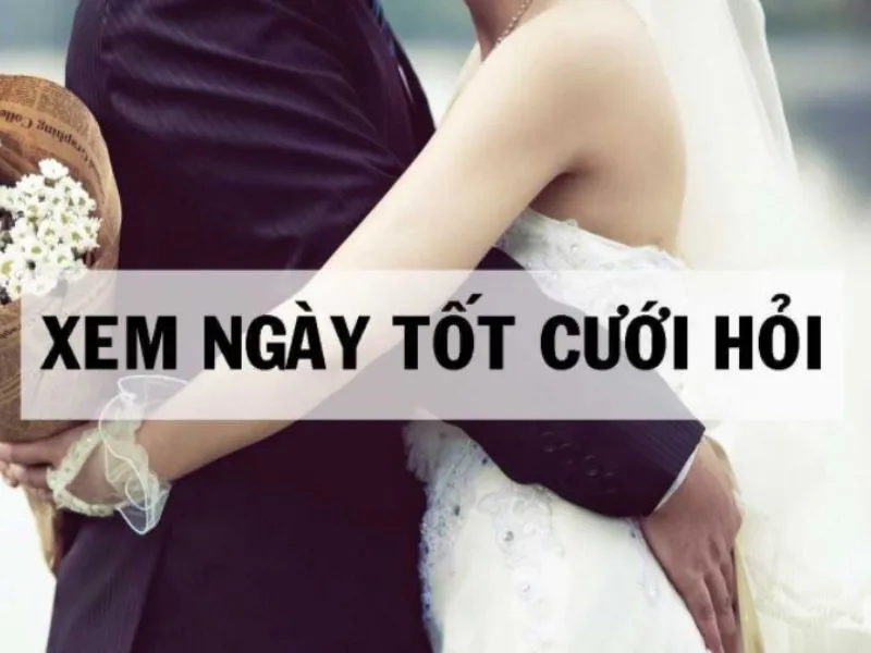 Xem tử vi tuổi Kỷ Hợi kết hôn năm nào thì hạnh phúc, sung sướng cả đời