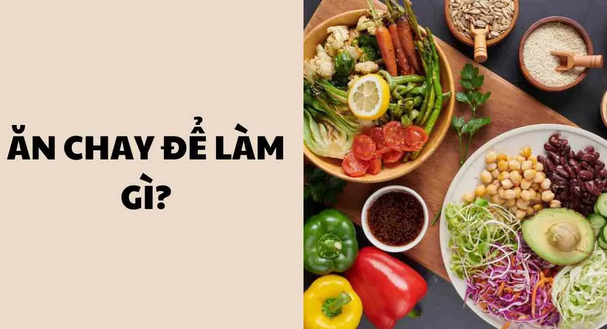 Ý nghĩa ăn chay để làm gì? Bất ngờ về lợi ích theo góc nhìn khoa học và tâm linh