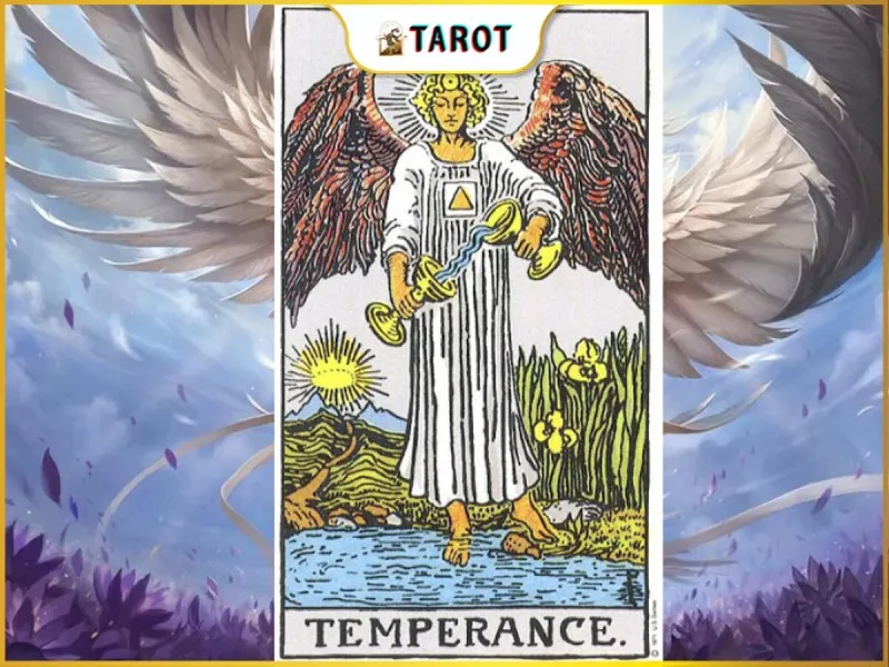 Ý nghĩa lá Temperance trong Tarot là gì? Cân bằng cuộc sống, tưởng dễ mà khó